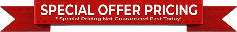 The Brain Song Special Offer